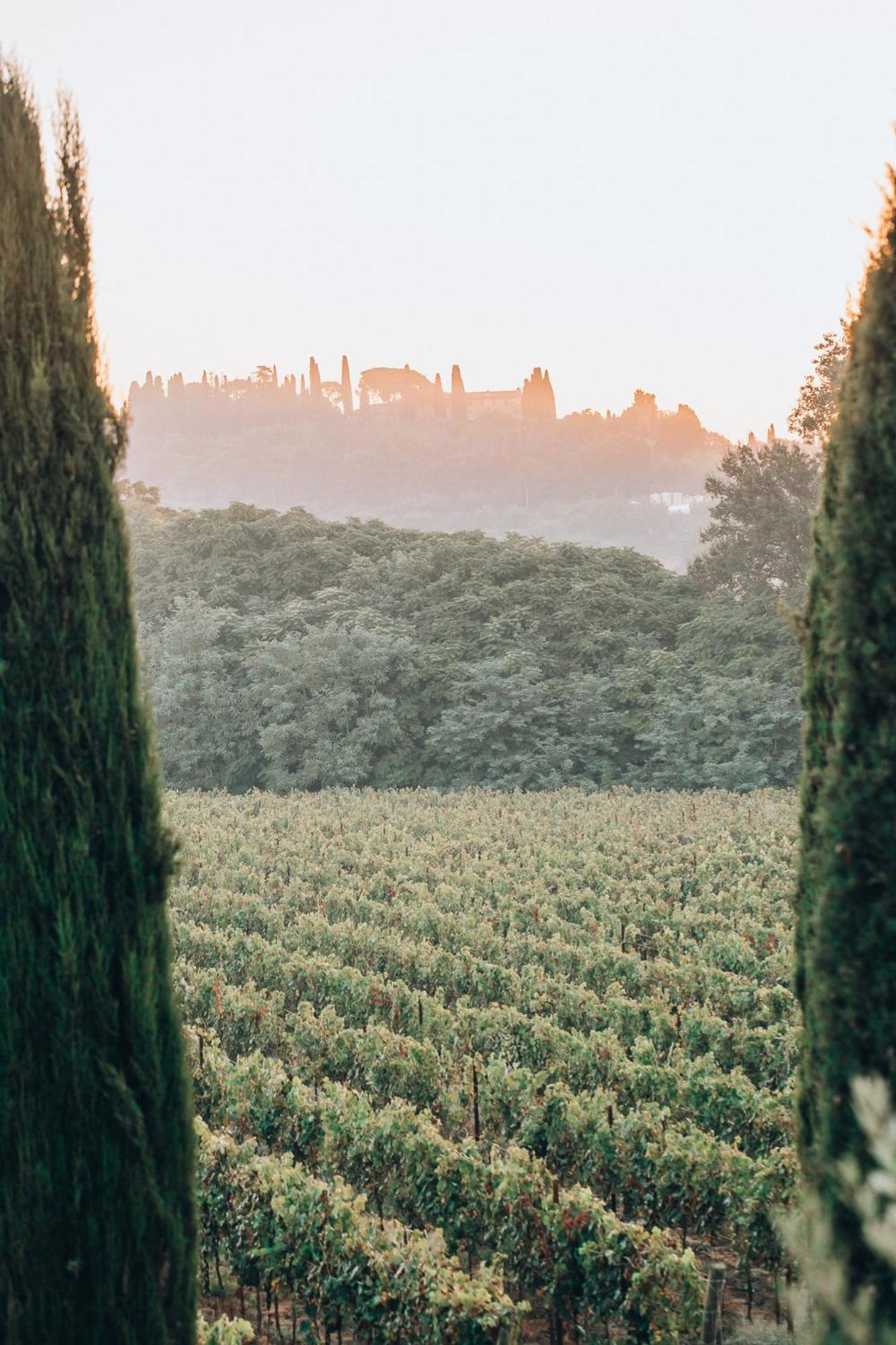 Borgo San Vincenzo Hotel Montepulciano Stazione Exterior foto